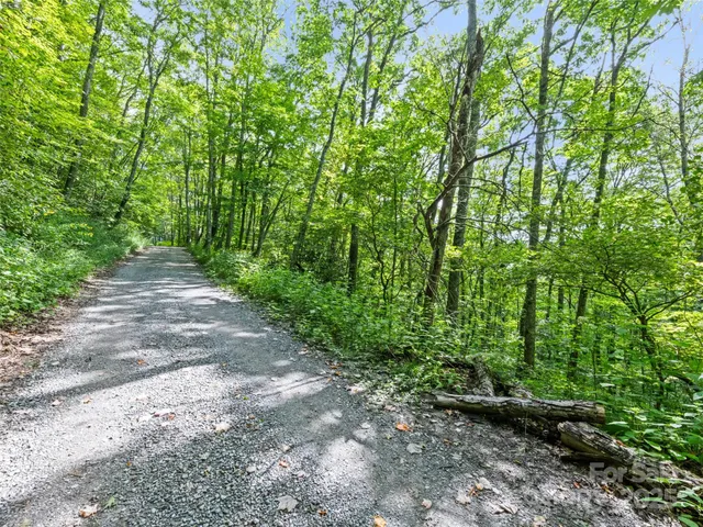 a view of a plants with large trees