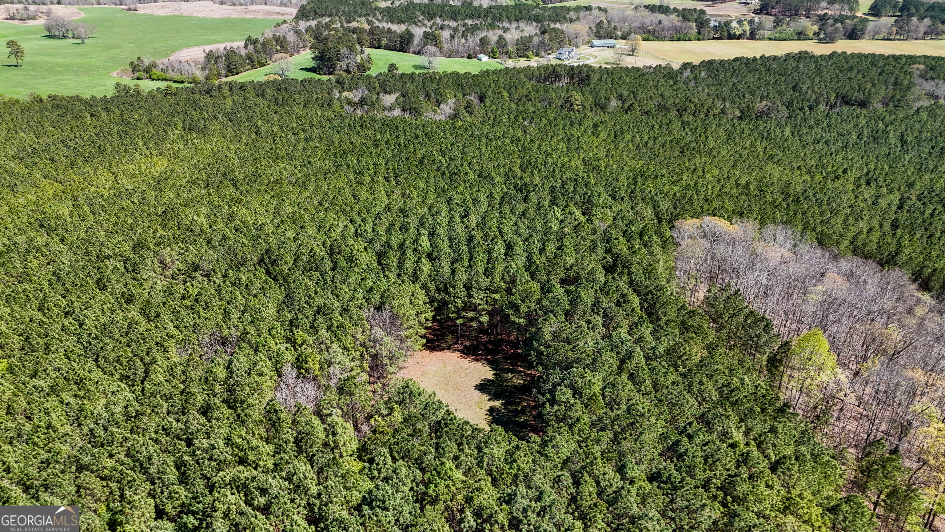 403-acres Youngs Farm Road Cedartown, GA 30125 - Photo 13 of 14