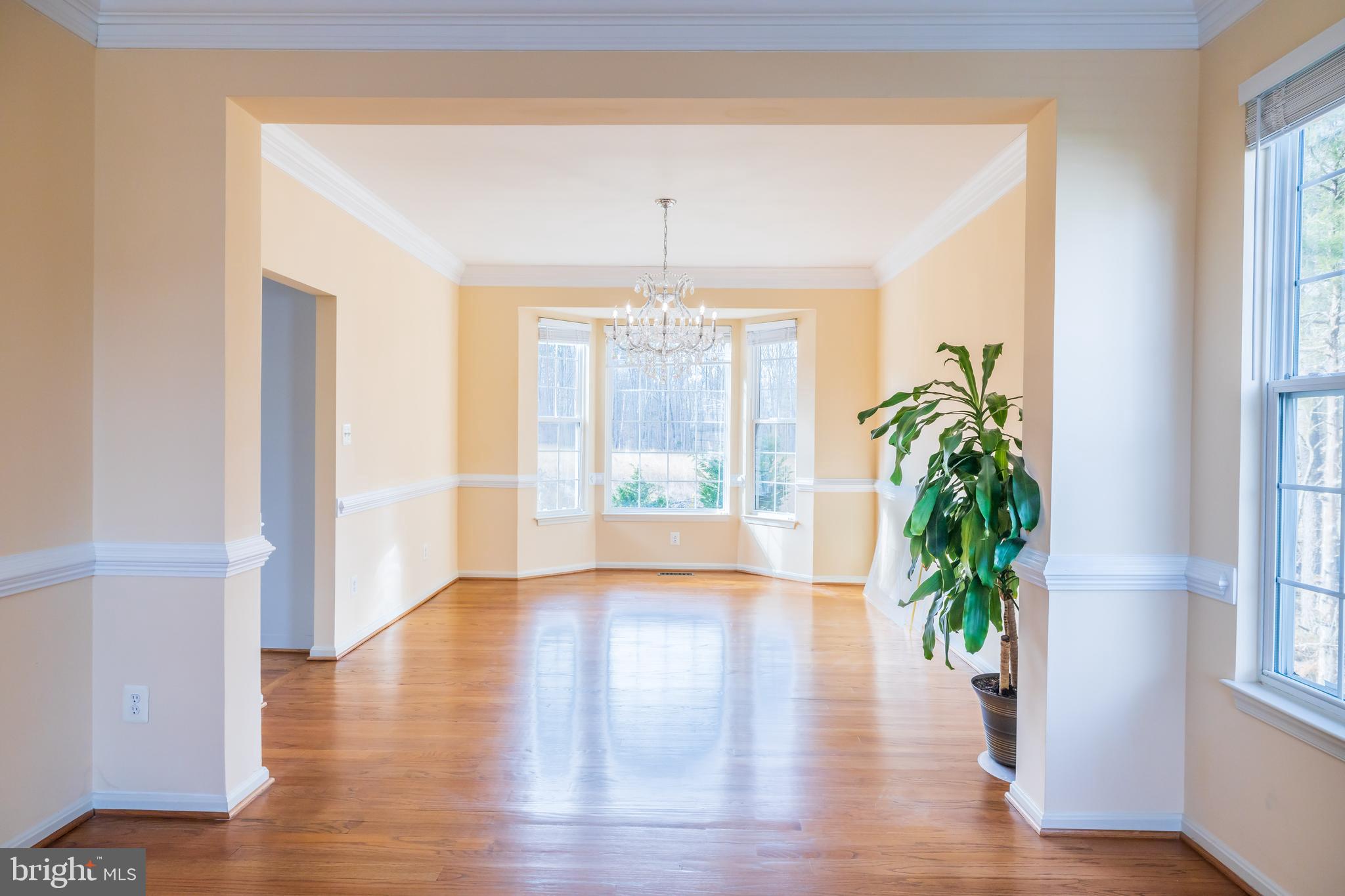 14546 Picket Oaks Road Centreville, VA 20121 - Photo 6 of 40