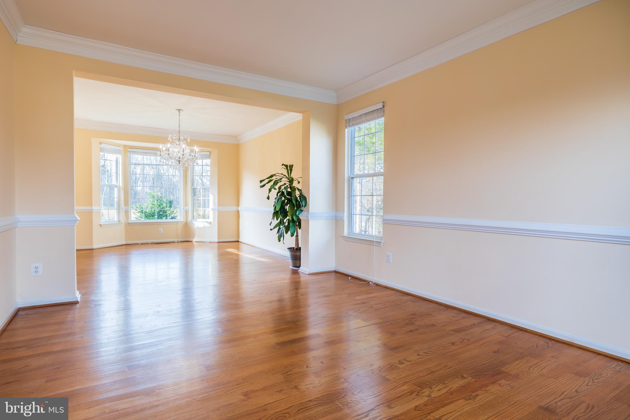 14546 Picket Oaks Road Centreville, VA 20121 - Photo 7 of 40