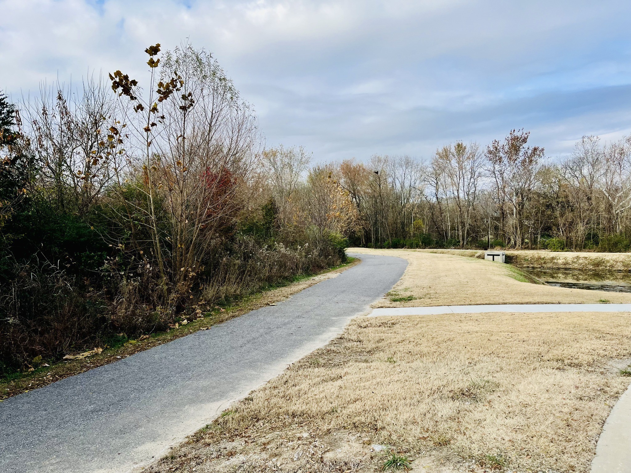 209 B Folsom Pass Spring Hill Spring Hill, TN 37174 - Photo 11 of 39 a view of a yard