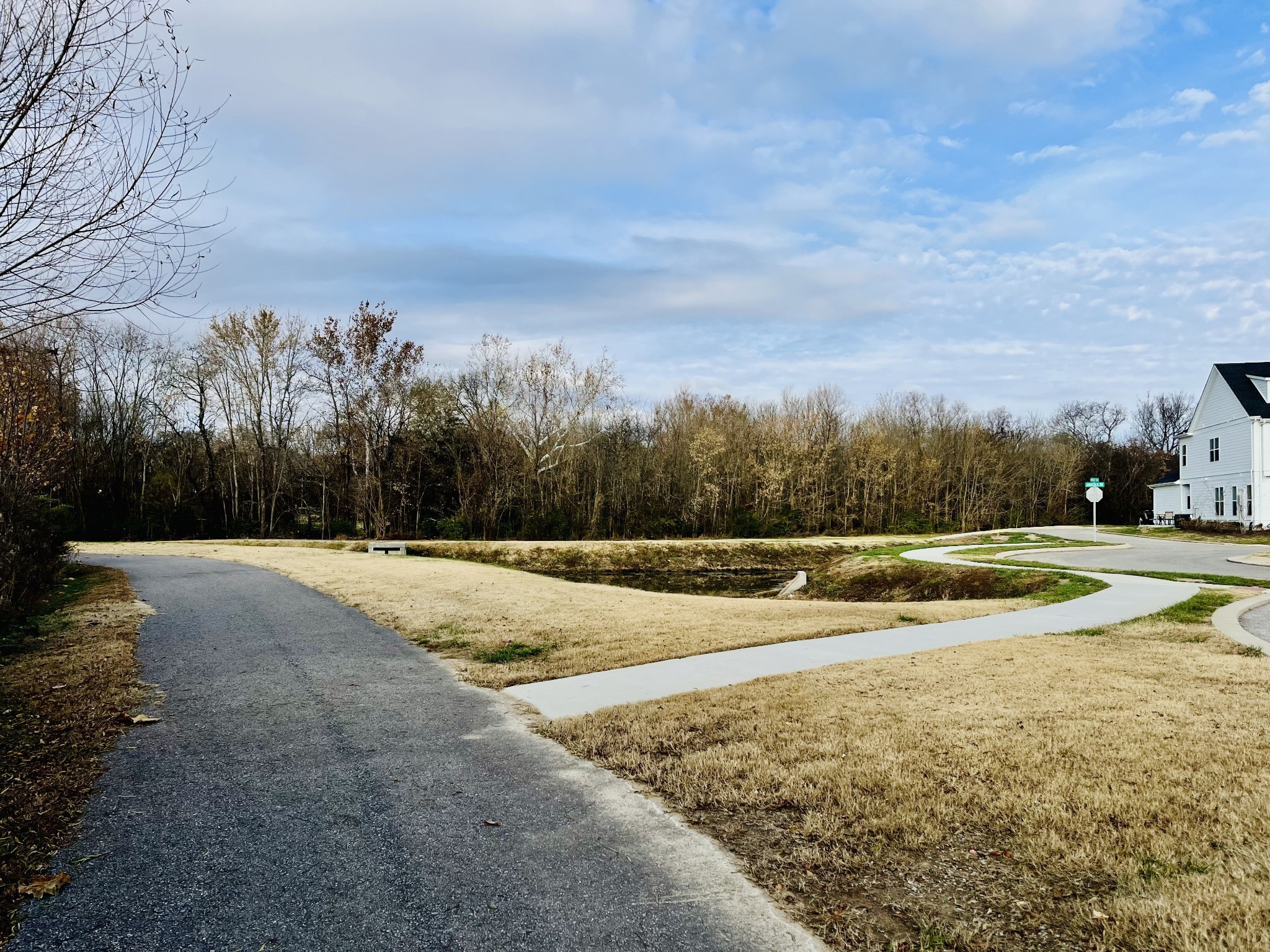 209 B Folsom Pass Spring Hill Spring Hill, TN 37174 - Photo 15 of 39 a view of a backyard