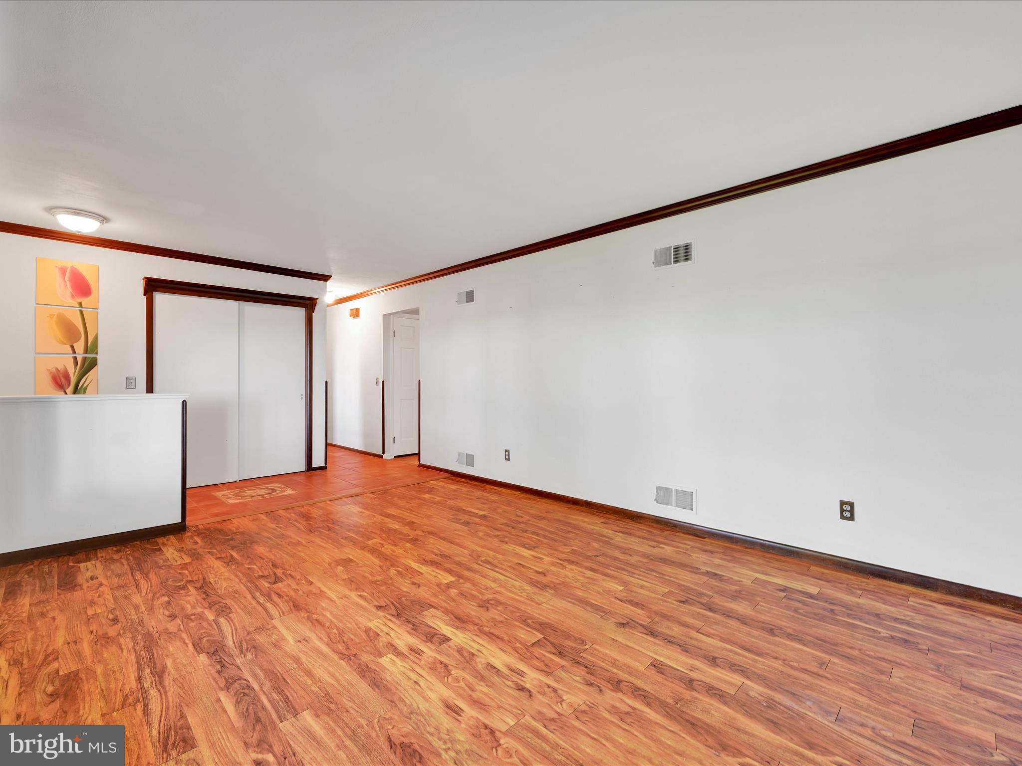 1043 East Meadow Road Manheim, PA 17545 - Photo 10 of 40 Living Room