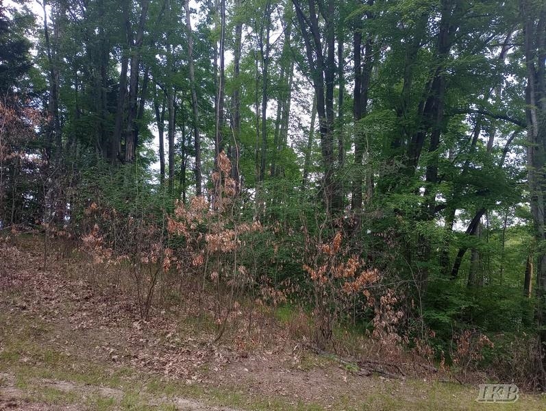 Lot 9 West Road Gladwin, MI 48624 - Photo 6 of 8