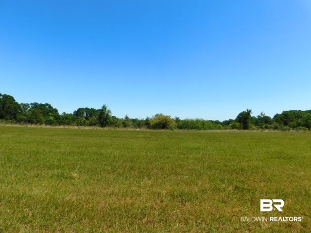 5884 Saroadine Road Brewton, AL 36426 - Photo 26 of 45