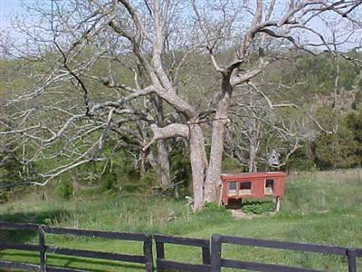 1333 Johnson Road Carlisle, KY 40311 - Photo 10 of 11 Photo 10