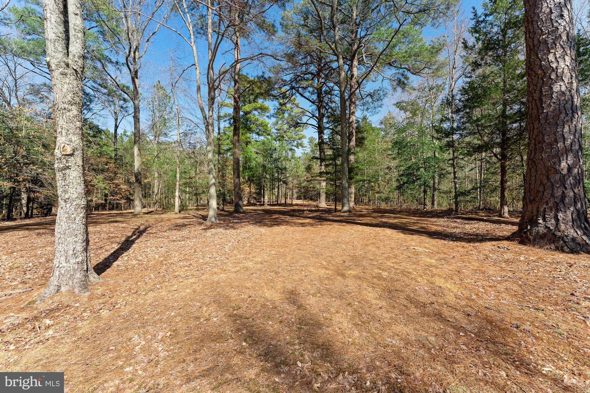 17159 Woodscroft Road Ridge, MD 20680 - Photo 49 of 50 Exterior