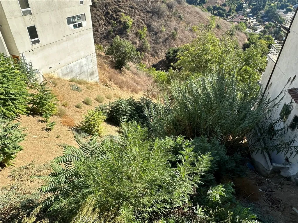 0 Hanscom Drive South Pasadena, CA 91030 - Photo 15 of 20 a view of a yard with plants and large trees