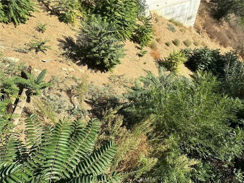 0 Hanscom Drive South Pasadena, CA 91030 - Photo 16 of 20 a view of a tree in a yard