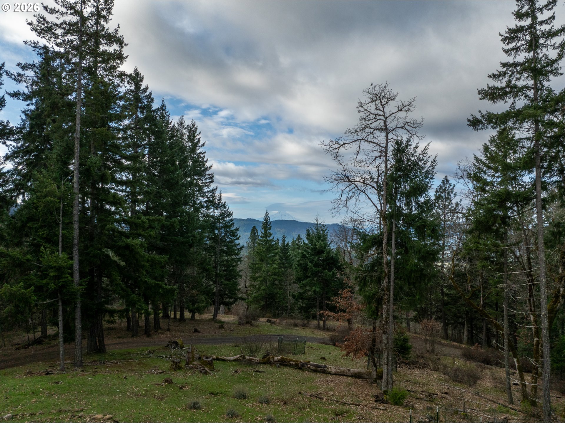 244 Lyons Road White Salmon, WA 98672 - Photo 17 of 22 a view of a yard with large trees