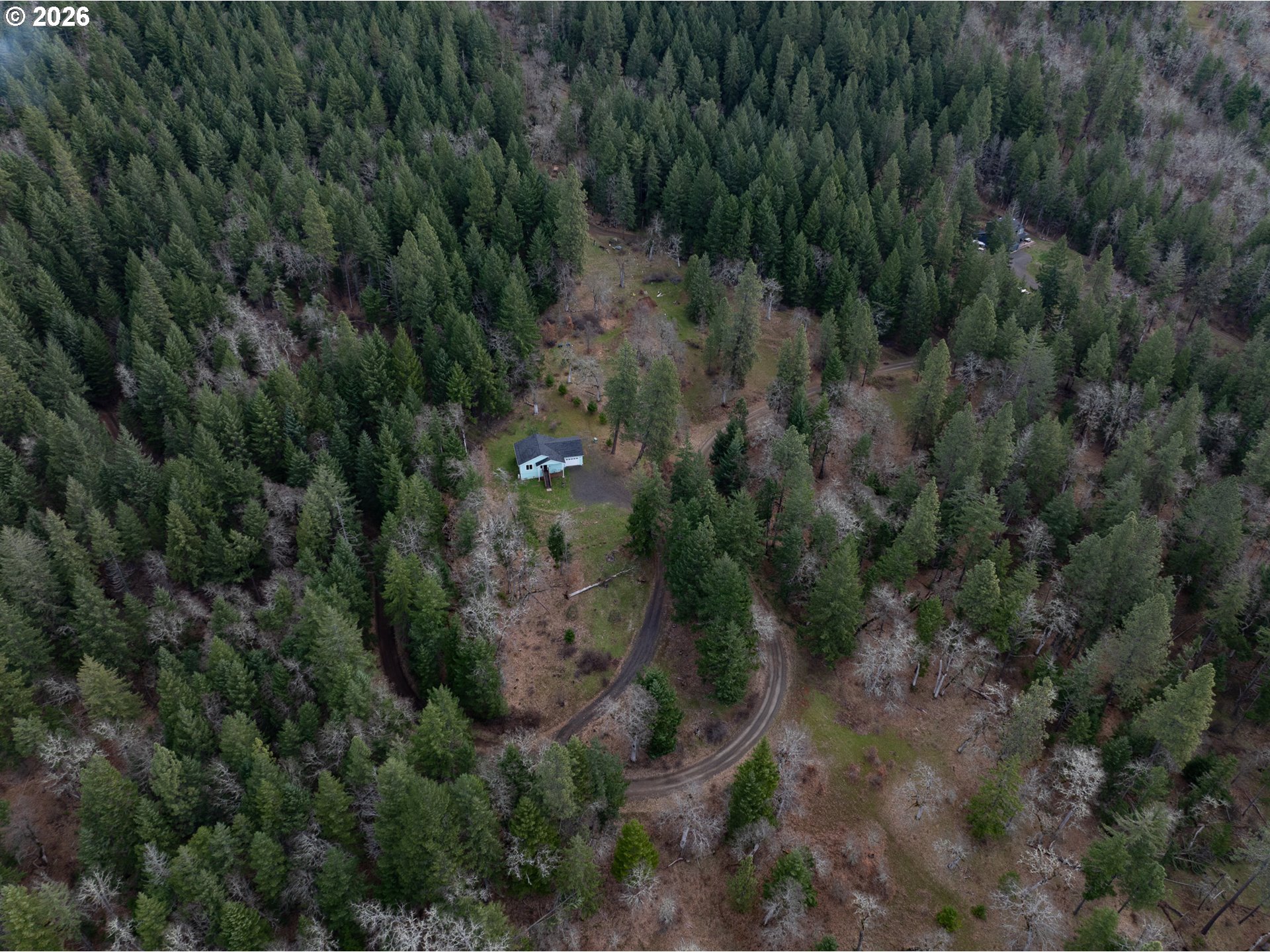 244 Lyons Road White Salmon, WA 98672 - Photo 20 of 22 a view of a forest with a street