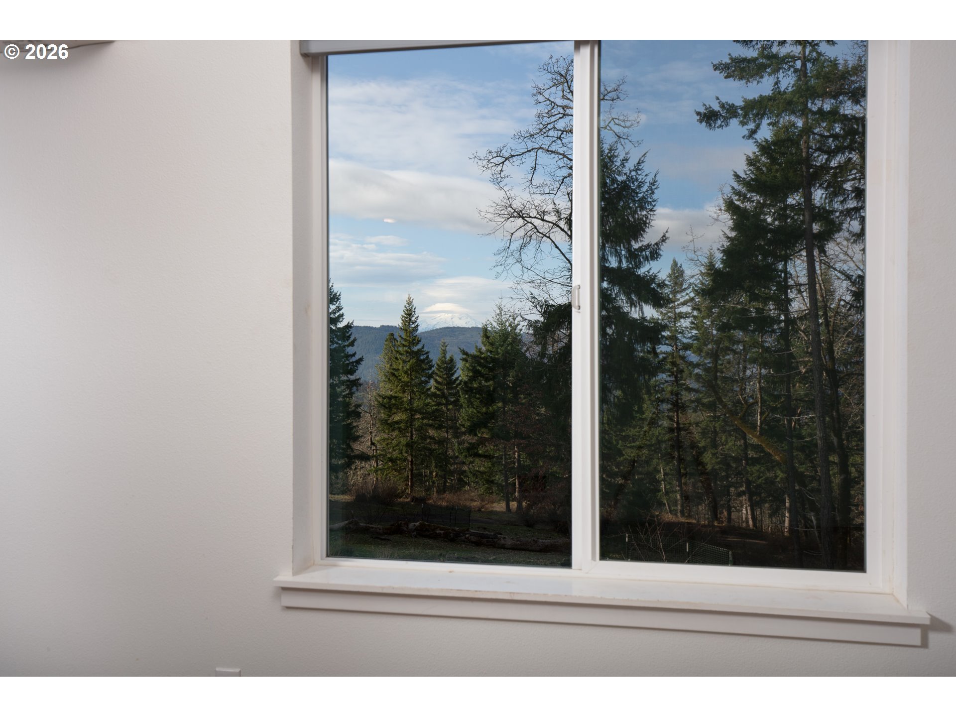 244 Lyons Road White Salmon, WA 98672 - Photo 6 of 22 a view of a window