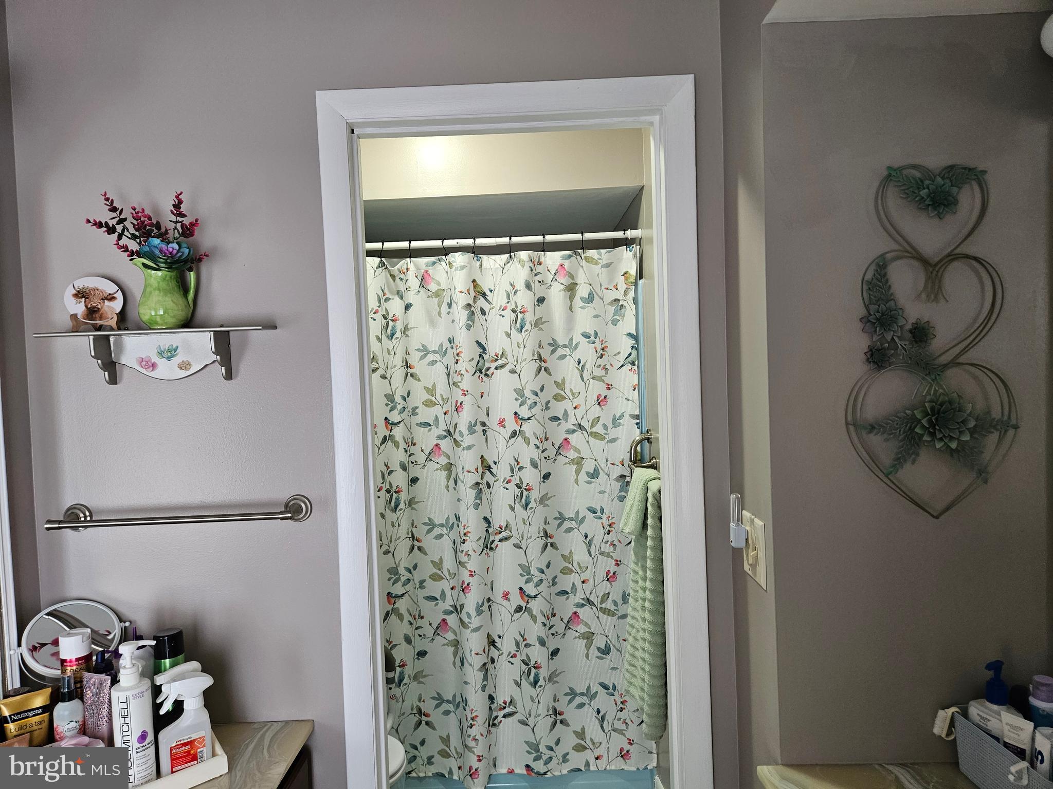 1115 Bishop Walsh Road Cumberland, MD 21502 - Photo 26 of 44 a bathroom with a shower