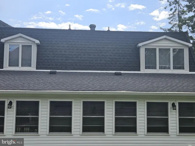 a view of park with large trees