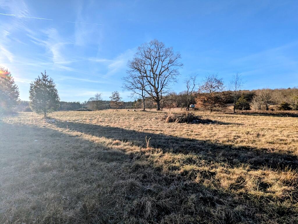 Tbd Firehouse Road Northwest Willis, VA 24380 - Photo 23 of 23 a view of dirt yard with a large tree