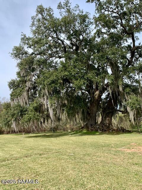 5611 Sugar Oaks Road New Iberia, LA 70563 - Photo 17 of 30 Back yard oak tree 1