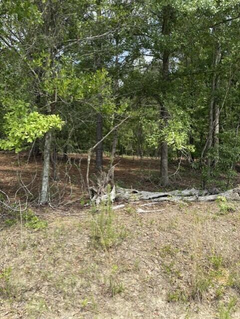 0 Cemetery Road Williston, SC 29853 - Photo 4 of 8