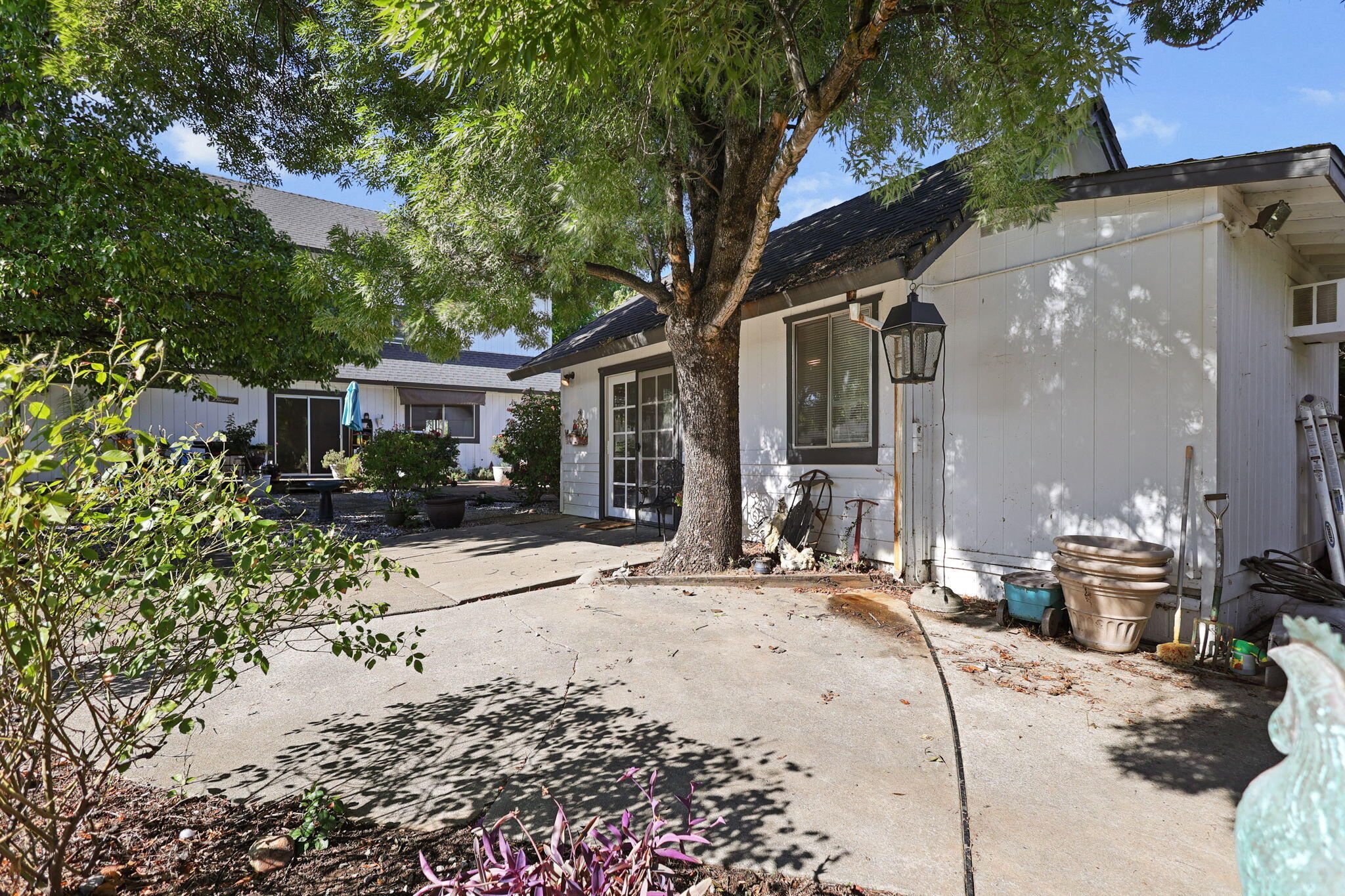 404 Woodhill Drive Redding, CA 96003 - Photo 26 of 52 a row of palm trees in front of a house