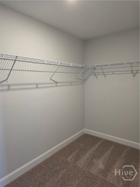 464 Gov Treutlen Circle Pooler, GA 31322 - Photo 19 of 28