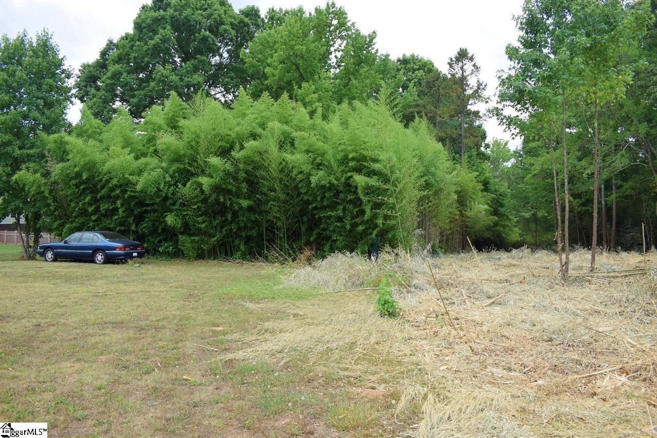 2220 Cross Anchor Road Woodruff, SC 29388 - Photo 3 of 10