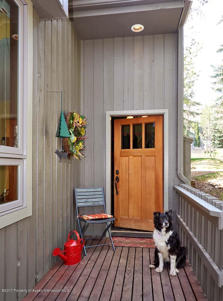 141 Meadow Ranch Road Snowmass Village, CO 81615 - Photo 11 of 15 ENTRANCE