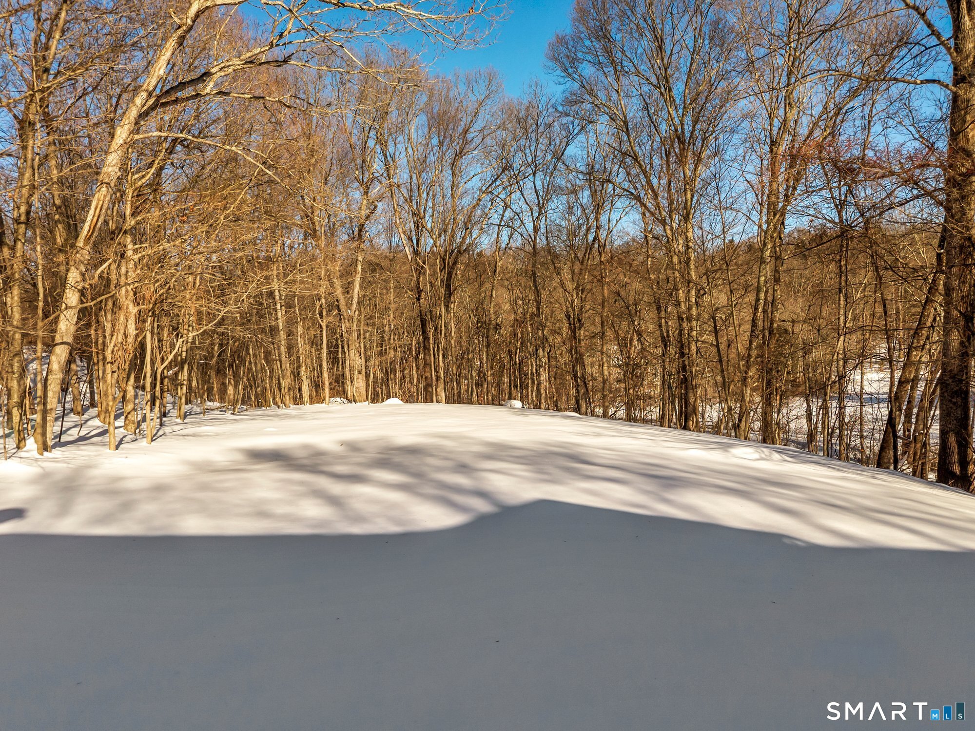 14 Briar Road Bethany, CT 06524 - Photo 6 of 40