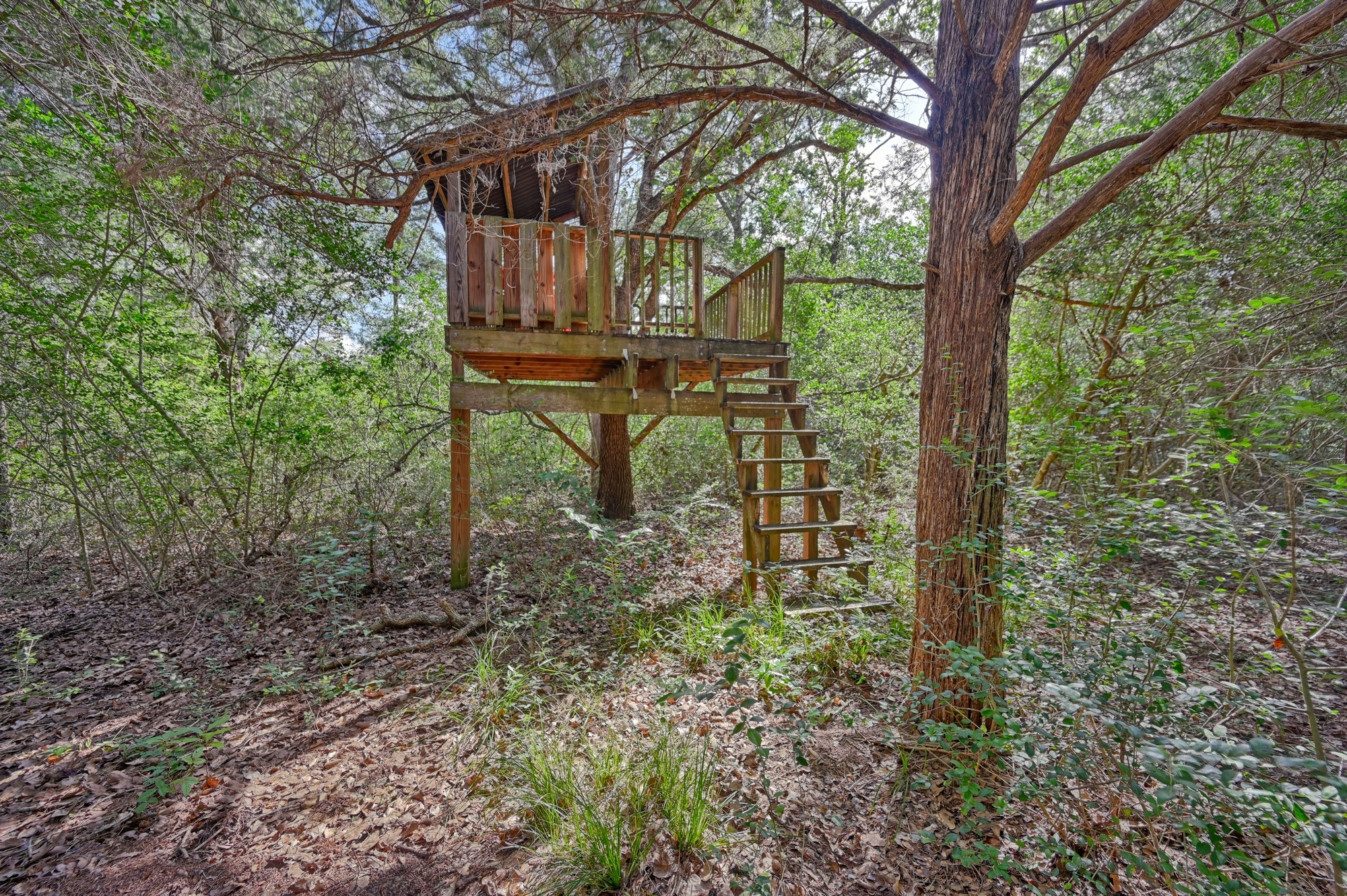 1205 Pecan Glen Road Brenham, TX 77833 - Photo 24 of 40