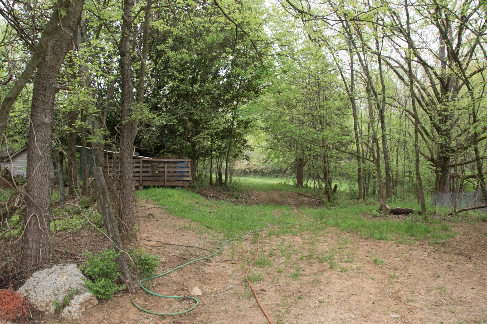 4807 Big Springs Road Friendsville, TN 37737 - Photo 11 of 14