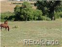 2 East Cherry Creek Road Elbert, CO 80106 - Photo 14 of 24
