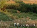 2 East Cherry Creek Road Elbert, CO 80106 - Photo 2 of 24