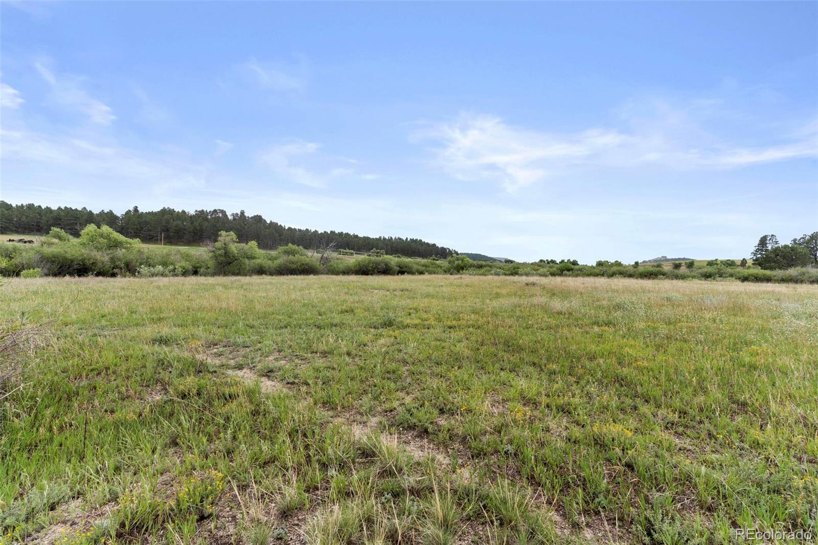2 East Cherry Creek Road Elbert, CO 80106 - Photo 22 of 24