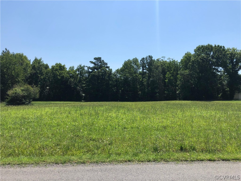 0 Butterwood Road Sutherland, VA 23885 - Photo 1 of 4 Gallery Image 1