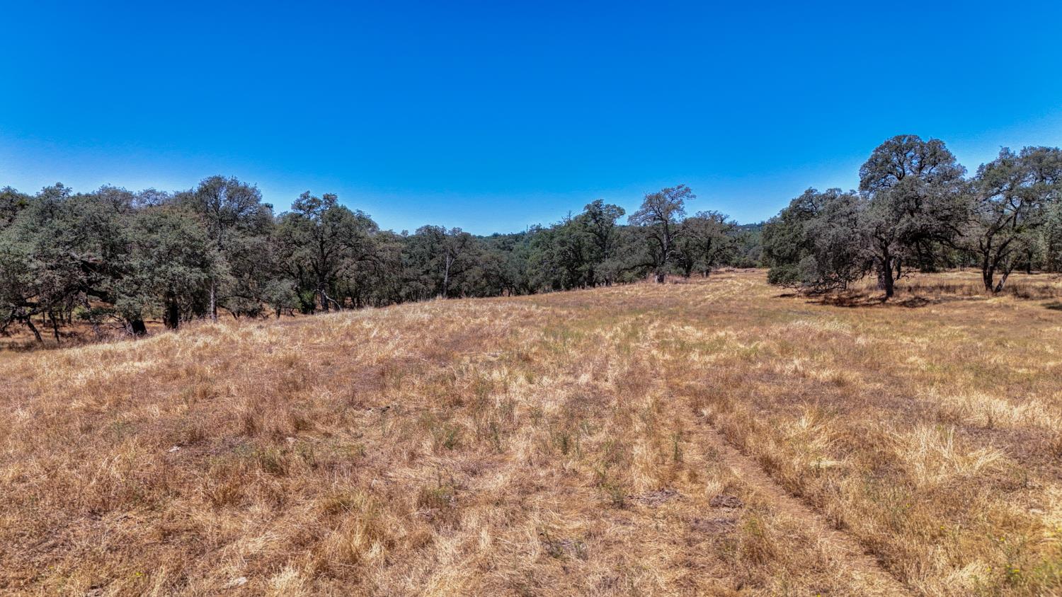 6500 Goose Flat Road Pilot Hill, CA 95664 - Photo 16 of 32