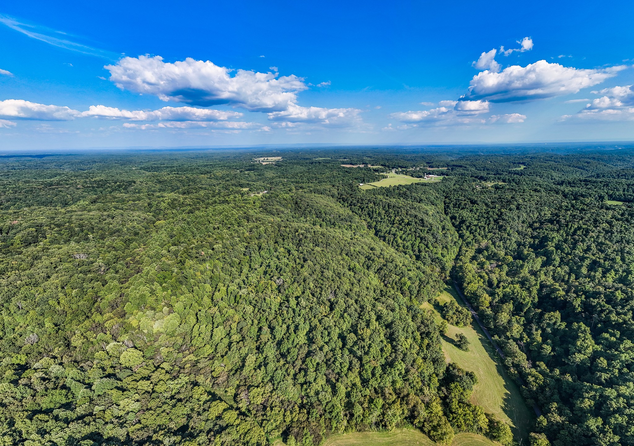 0 Straight Creek Road Wartrace, TN 37183 - Photo 11 of 25