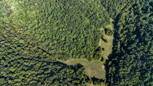 $1,500,000 | 0 Straight Creek Road, Wartrace, TN 37183