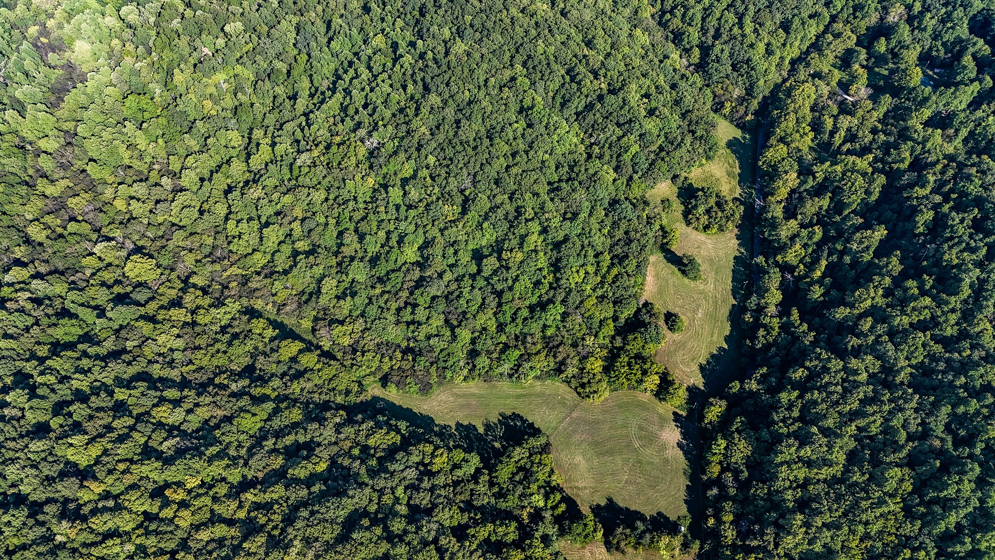 0 Straight Creek Road Wartrace, TN 37183 - Photo 12 of 25