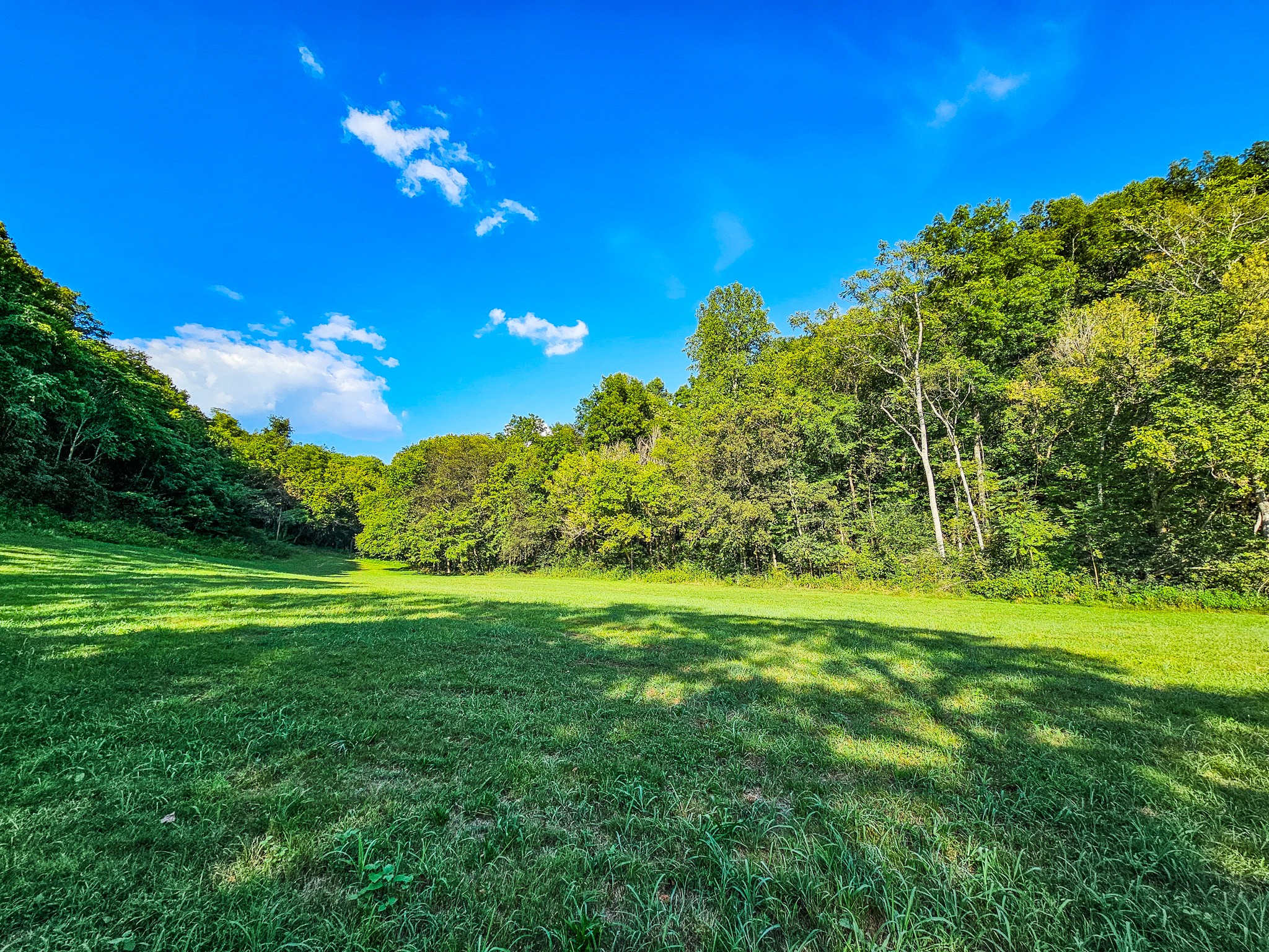 0 Straight Creek Road Wartrace, TN 37183 - Photo 13 of 25