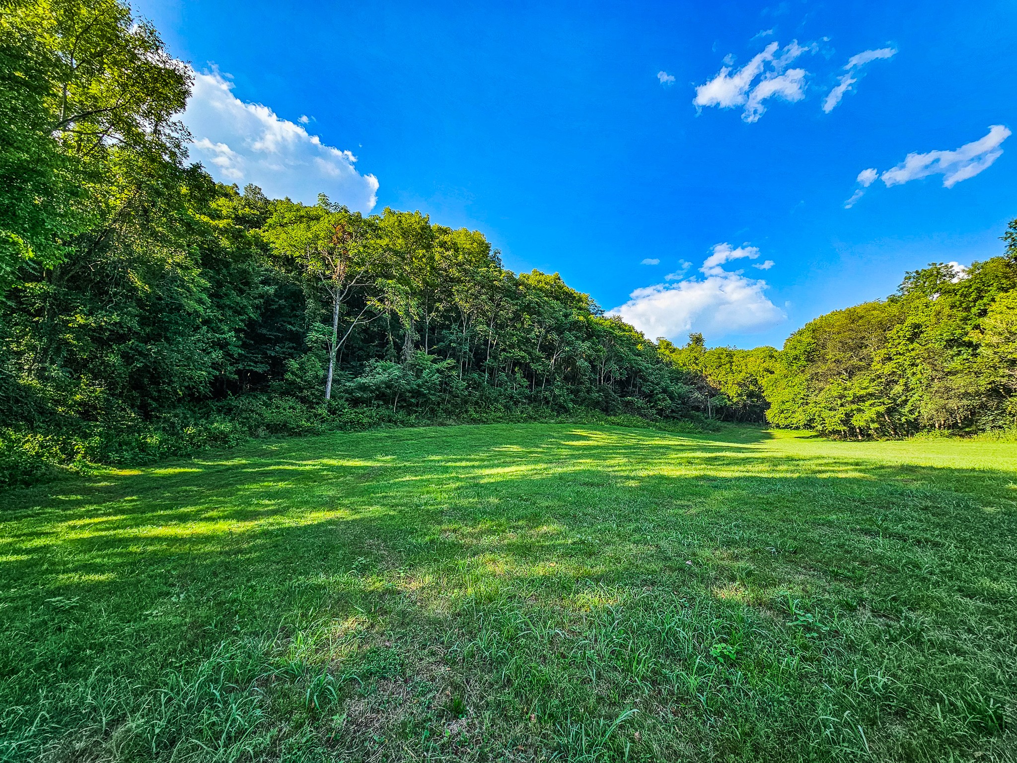 0 Straight Creek Road Wartrace, TN 37183 - Photo 14 of 25