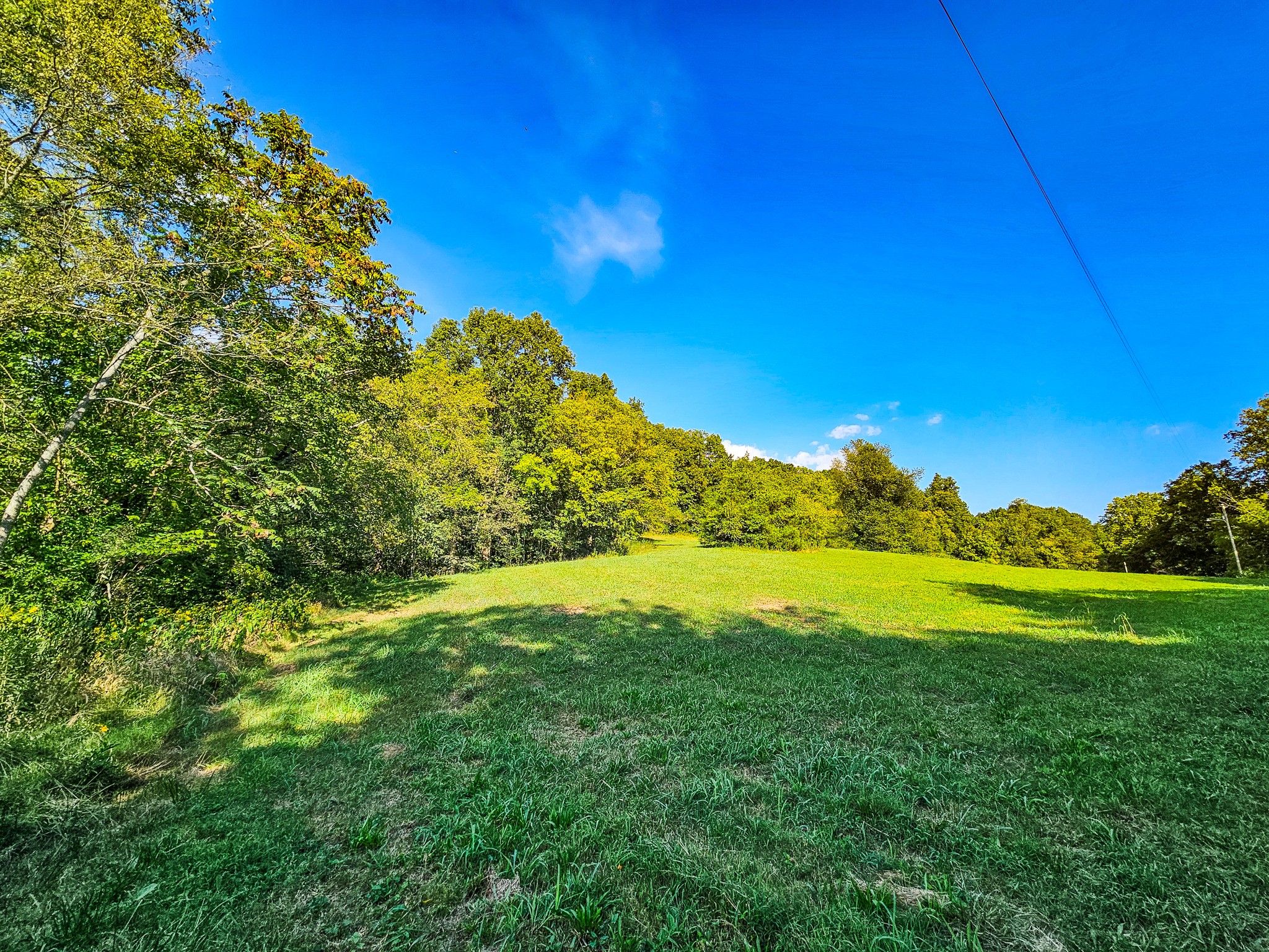 0 Straight Creek Road Wartrace, TN 37183 - Photo 16 of 25