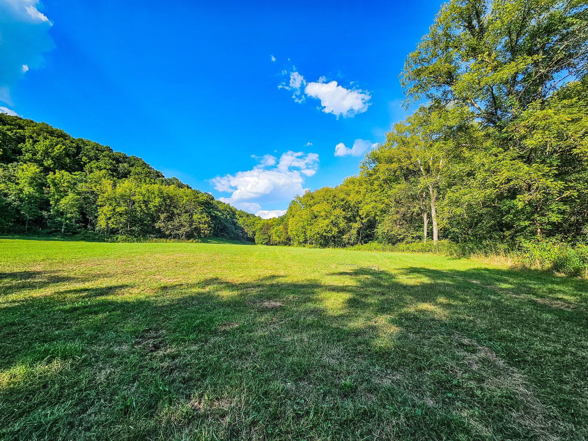 0 Straight Creek Road Wartrace, TN 37183 - Photo 2 of 25