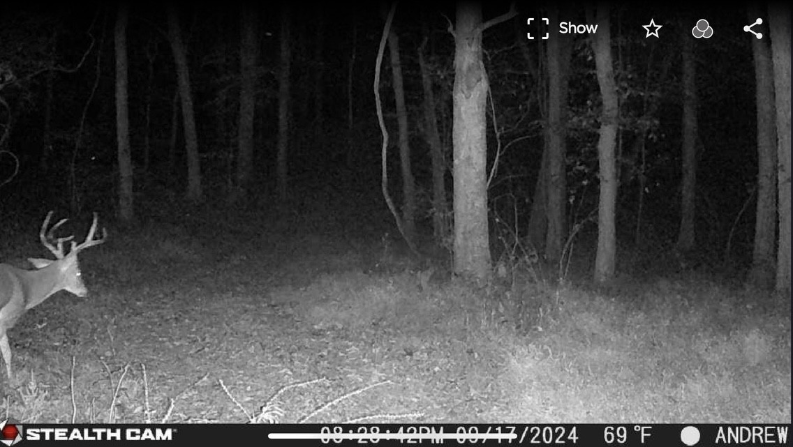 0 Straight Creek Road Wartrace, TN 37183 - Photo 22 of 25