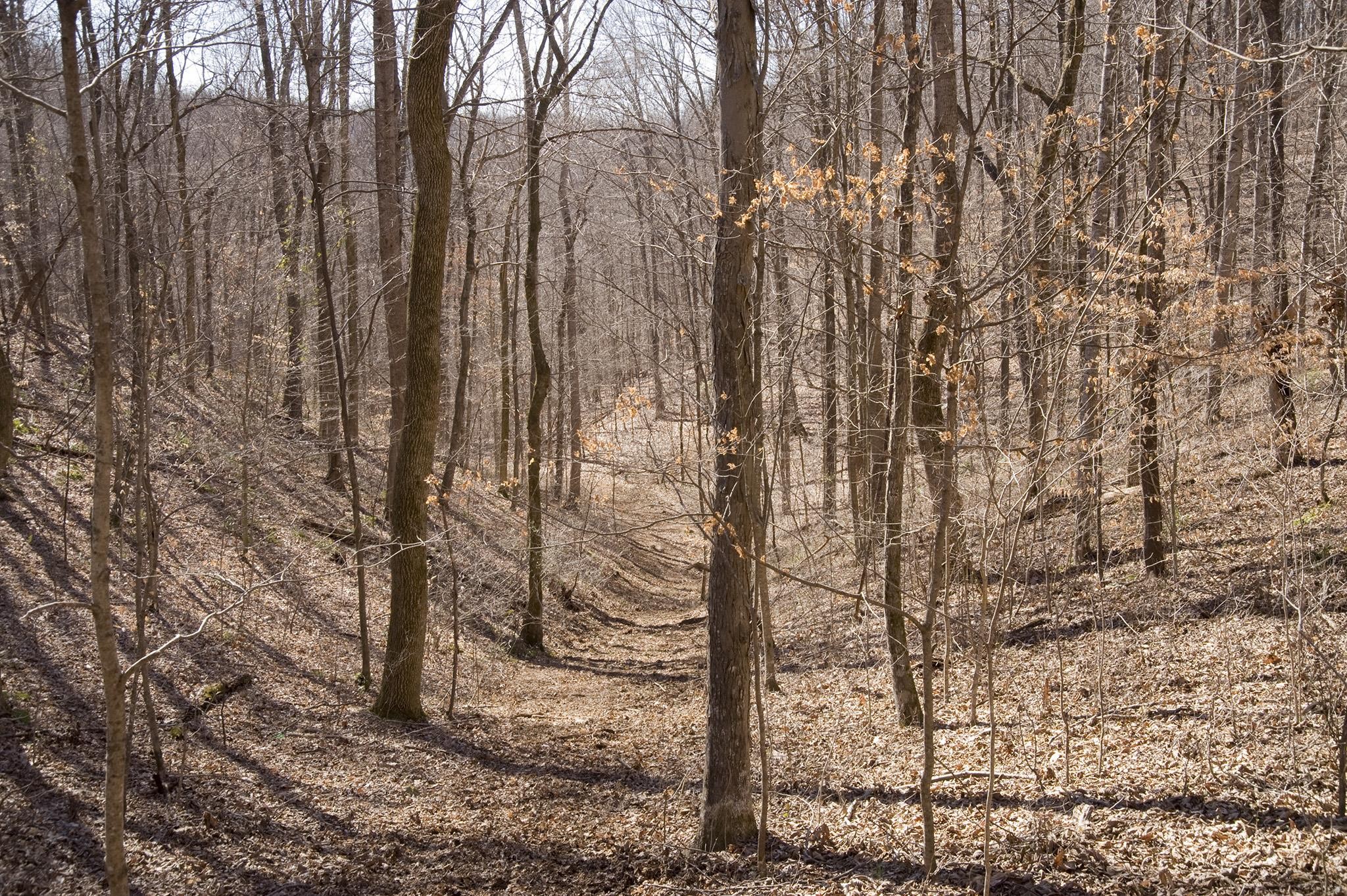 0 Straight Creek Road Wartrace, TN 37183 - Photo 24 of 25