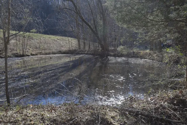 $1,500,000 | 0 Straight Creek Road, Wartrace, TN 37183