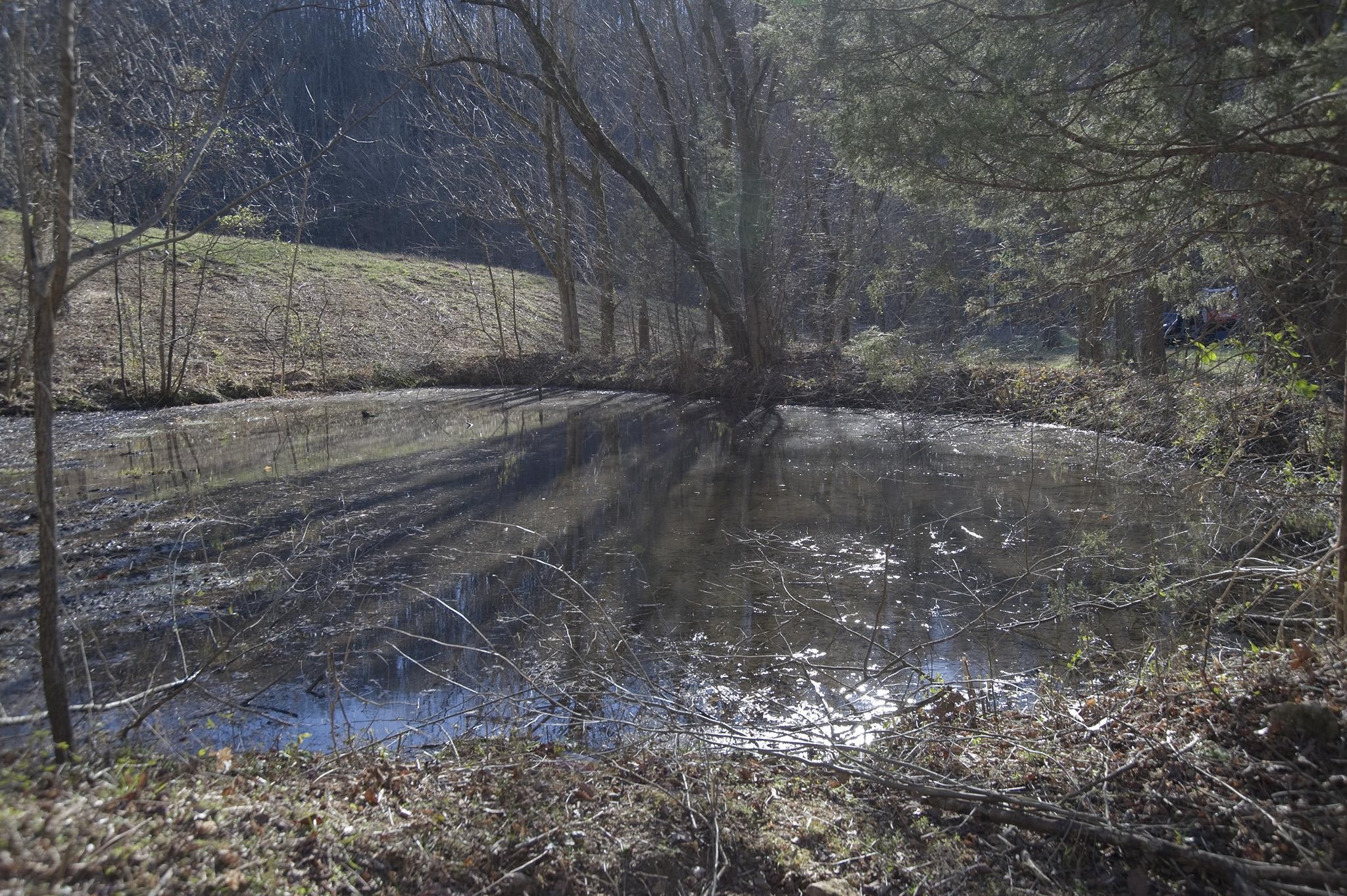 0 Straight Creek Road Wartrace, TN 37183 - Photo 25 of 25