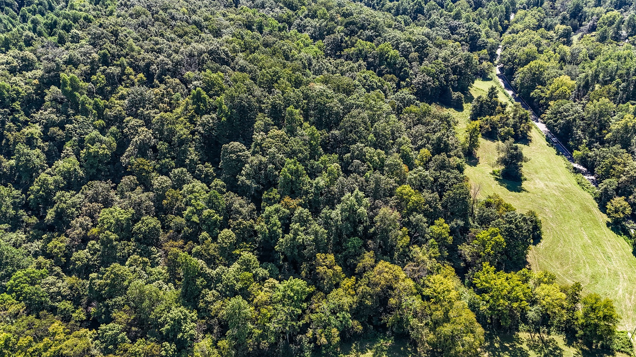 0 Straight Creek Road Wartrace, TN 37183 - Photo 4 of 25