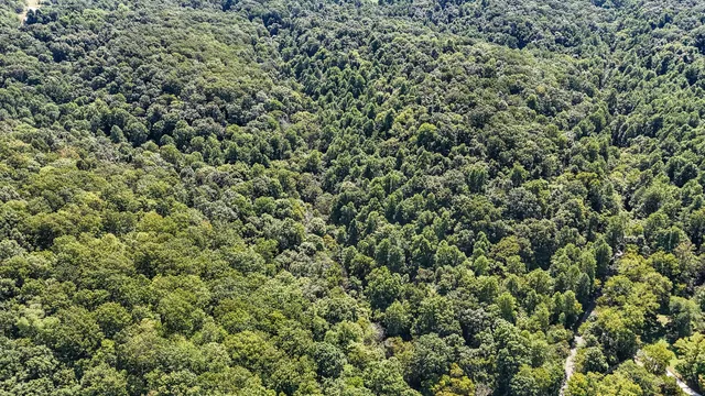 $1,500,000 | 0 Straight Creek Road, Wartrace, TN 37183