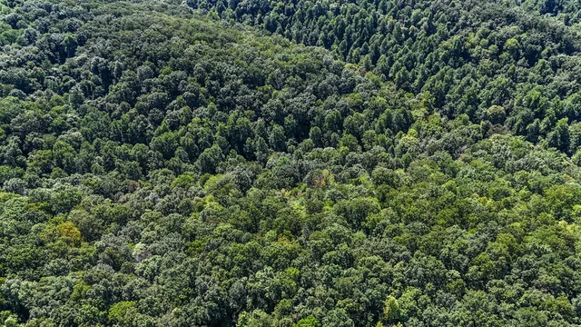 $1,500,000 | 0 Straight Creek Road, Wartrace, TN 37183