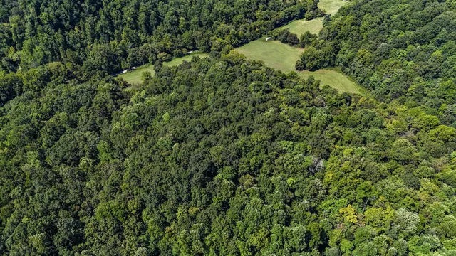 $1,500,000 | 0 Straight Creek Road, Wartrace, TN 37183