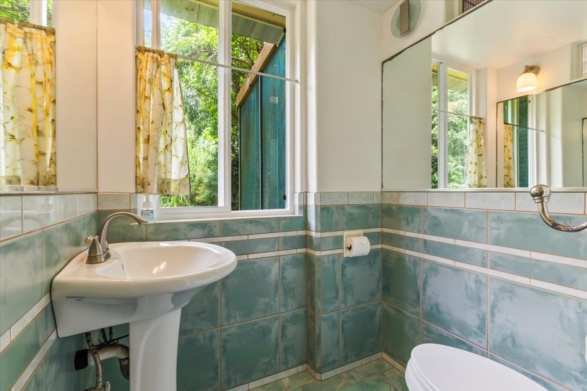 6900 Hana Highway Hana, HI 96713 - Photo 23 of 50 a bathroom with a sink toilet and shower