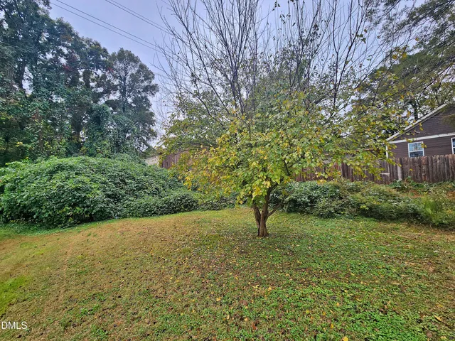 a view of a garden with a tree